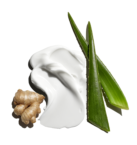 Dry Erase? Ultra-Calming Face Cream - Image 2