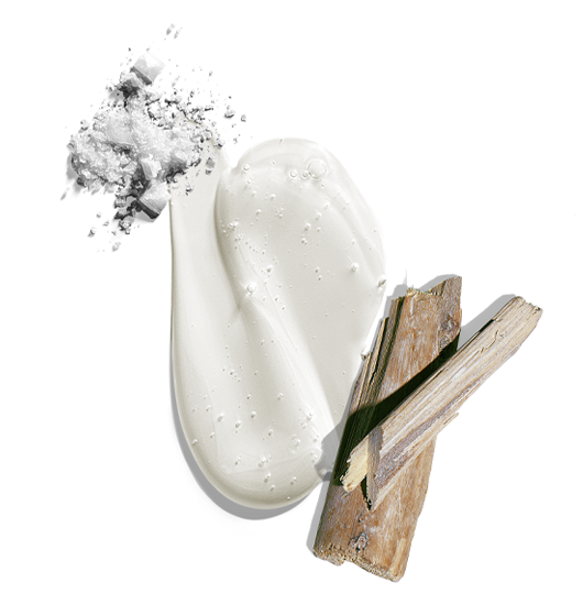 Big Sir? Body & Hair Cleanser - Image 2