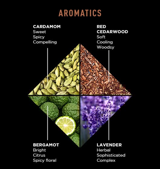 Black Reserve? Body Collection - Image 5