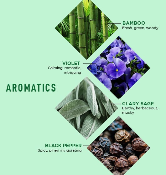 JackZen? Renewing Body Lotion - Image 4