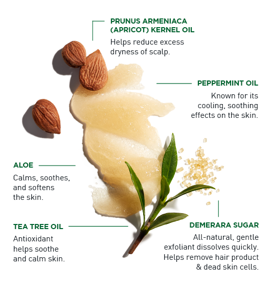 Exfoliating Scalp Scrub + Shampoo - Image 3